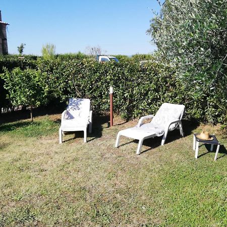 L'Aia Degli Olivi Vada Exterior foto