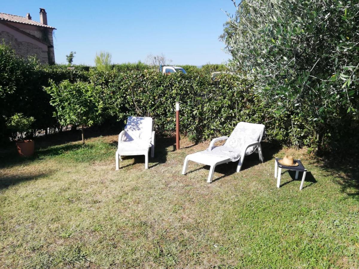L'Aia Degli Olivi Vada Exterior foto