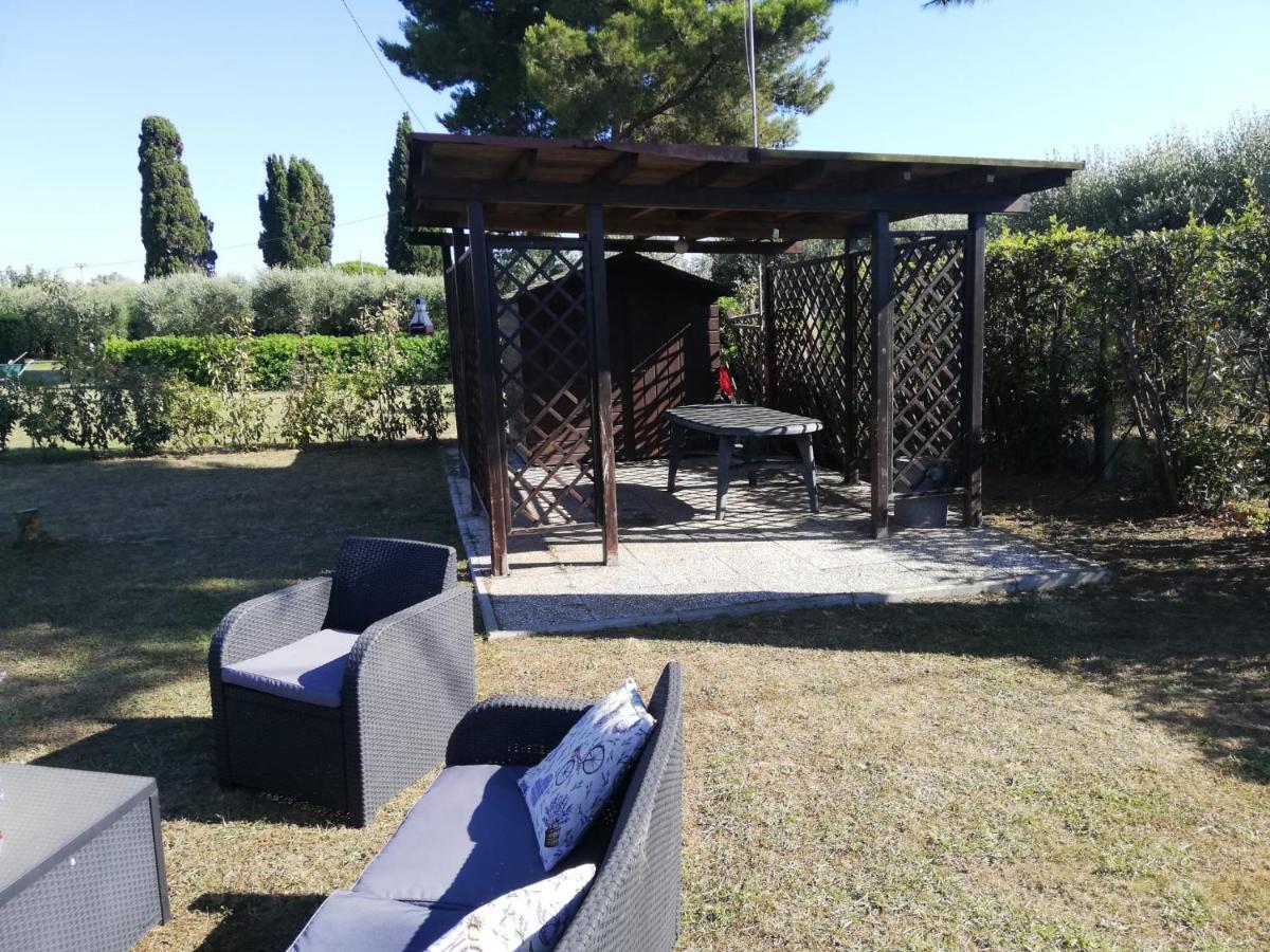 L'Aia Degli Olivi Vada Exterior foto