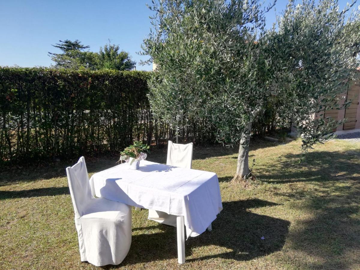 L'Aia Degli Olivi Vada Exterior foto