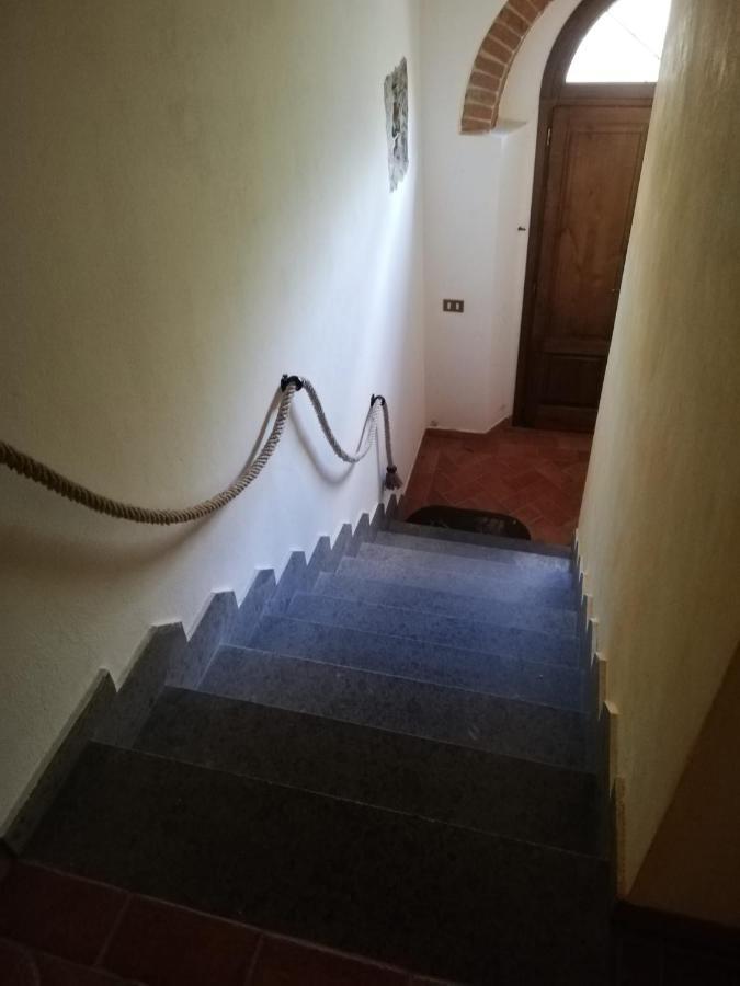 L'Aia Degli Olivi Vada Exterior foto