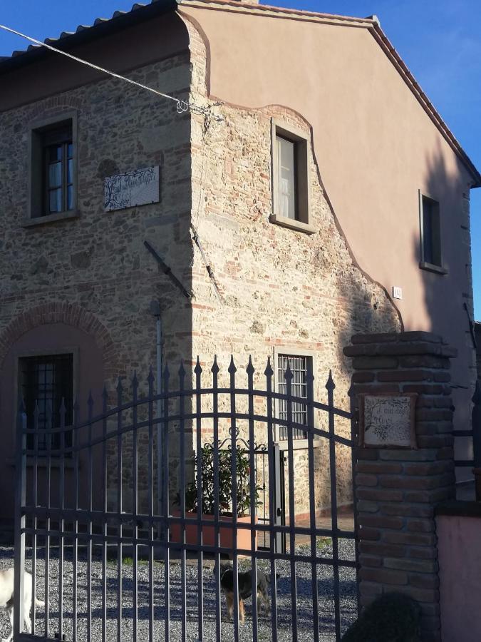 L'Aia Degli Olivi Vada Exterior foto
